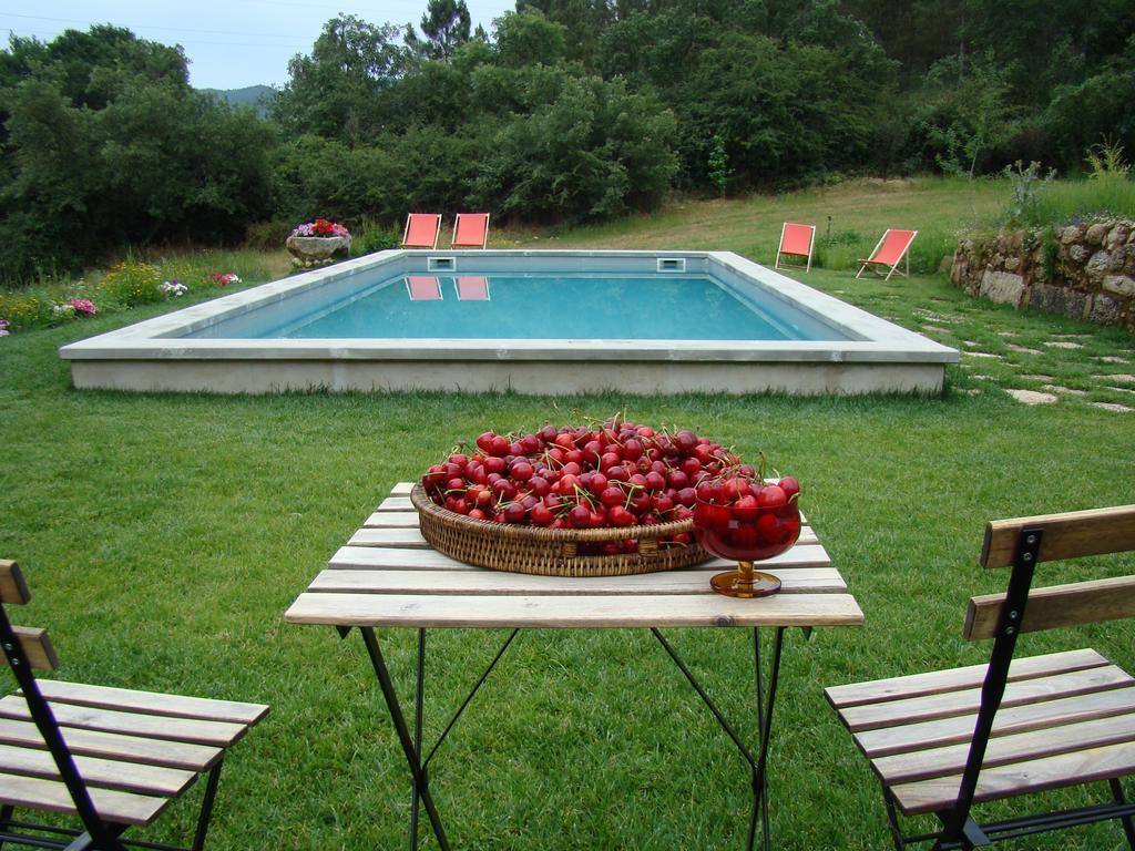 Quinta De Seves Guest House Covilhã Екстериор снимка