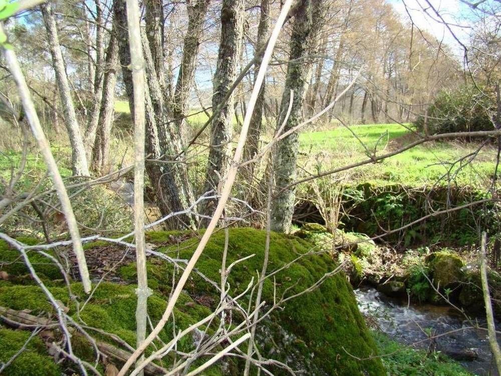 Quinta De Seves Guest House Covilhã Екстериор снимка