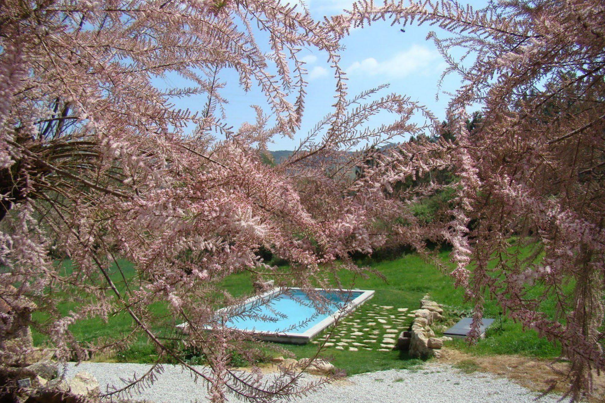 Quinta De Seves Guest House Covilhã Екстериор снимка